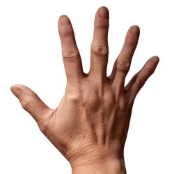 Bich Retopo Hand Scan